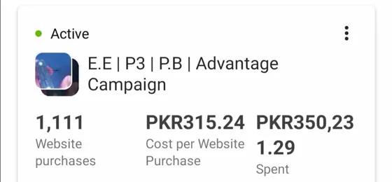 Shopify development services results: Meta Advantage+ dashboard screenshot from a WSP client account: 1,111 sales, One Advantage+ campaign at PKR 315 per purchase